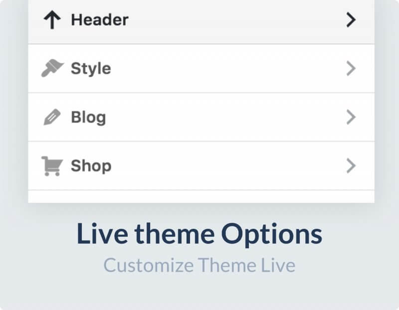 live-theme-options